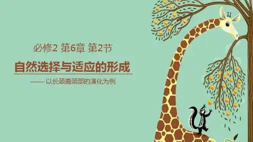 自然选择与适应的形成ppt课件
