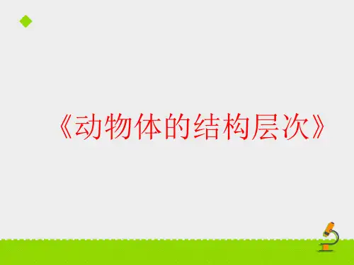 《动物体的结构层次》课件 24张(鲁科版(五四制))