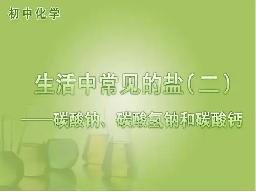 生活中常见的盐PPT课件(2)