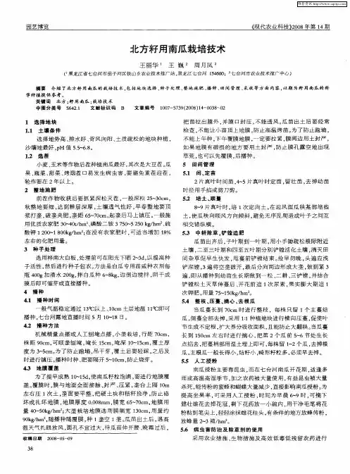 北方籽用南瓜栽培技术