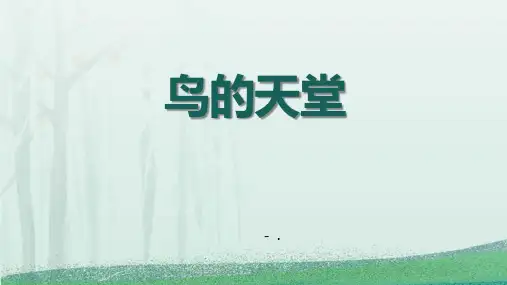 《鸟的天堂》PPT优质教学课件