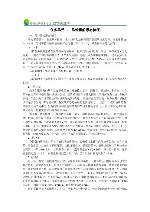 马铃薯的形态特征