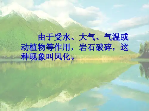 五年级上册科学课件-3.4土壤中有什么教科版共20张PPT