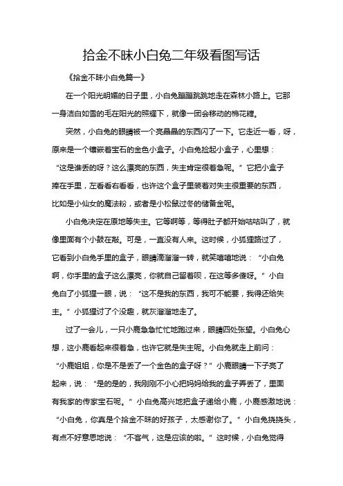 拾金不昧小白兔二年级看图写话