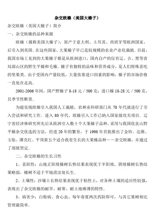 杂交欧榛(美国大榛子)