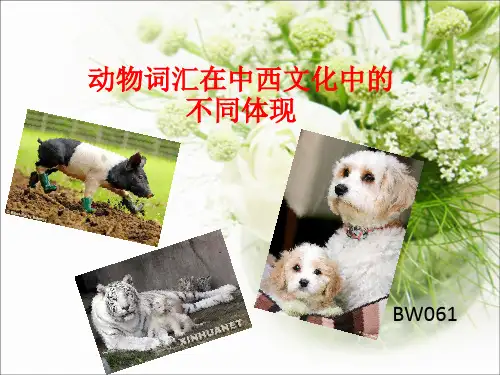 动物词汇在中西文化中的不同体现解析