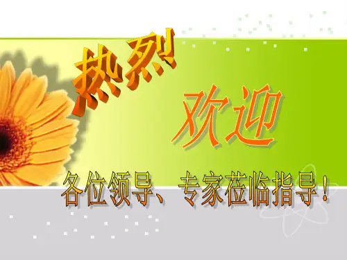 连续梁悬臂法施工介绍PPT课件