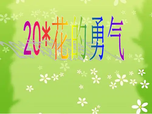 四下语文20.花的勇气PPT课件