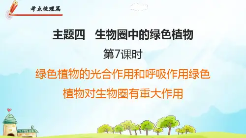 中考九年级生物第7课时 绿色植物的光合作用和呼吸作用绿色植物对生物圈有重大作用