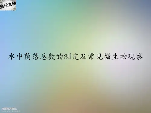 水中菌落总数的测定及常见微生物观察