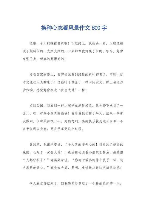 换种心态看风景作文800字