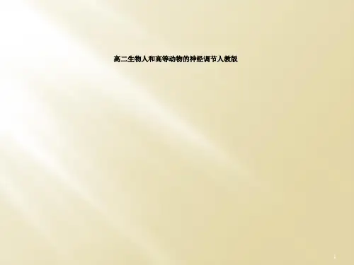 高二生物人和高等动物的神经调节人教版