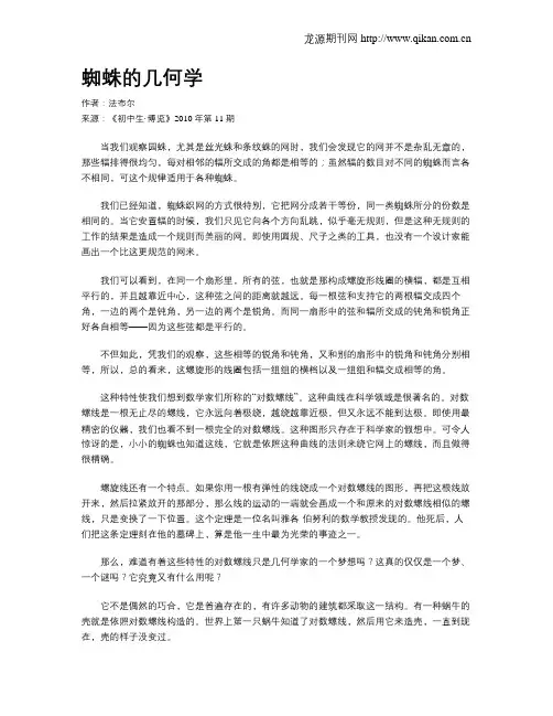 蜘蛛的几何学