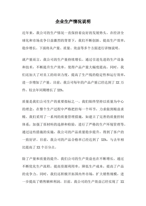 企业生产情况说明