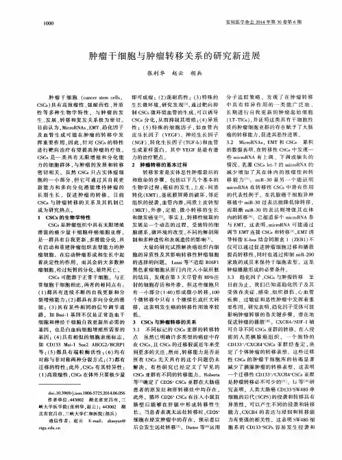 肿瘤干细胞与肿瘤转移关系的研究新进展