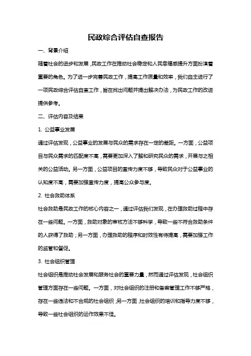 民政综合评估自查报告