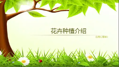 花卉种植介绍精品PPT课件