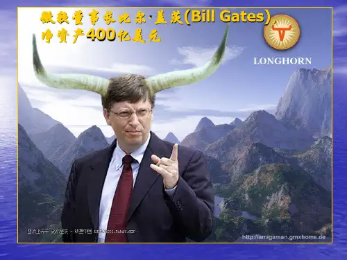 名人比尔·盖茨ppt演讲综述资料.