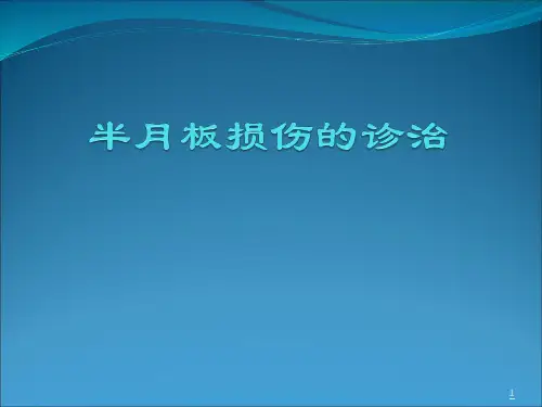 半月板损伤PPT精选课件