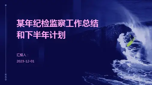 某年纪检监察工作总结和下半年计划