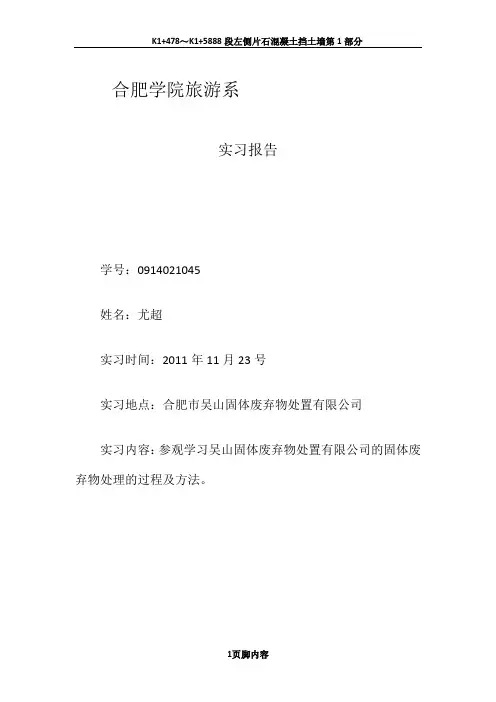 固体废物的处理方法