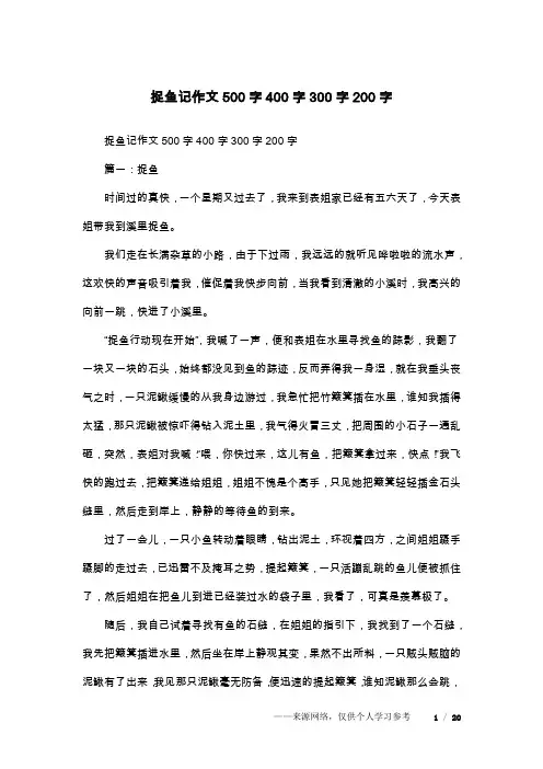 捉鱼记作文500字400字300字200字