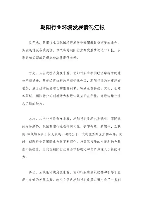 朝阳行业环境发展情况汇报