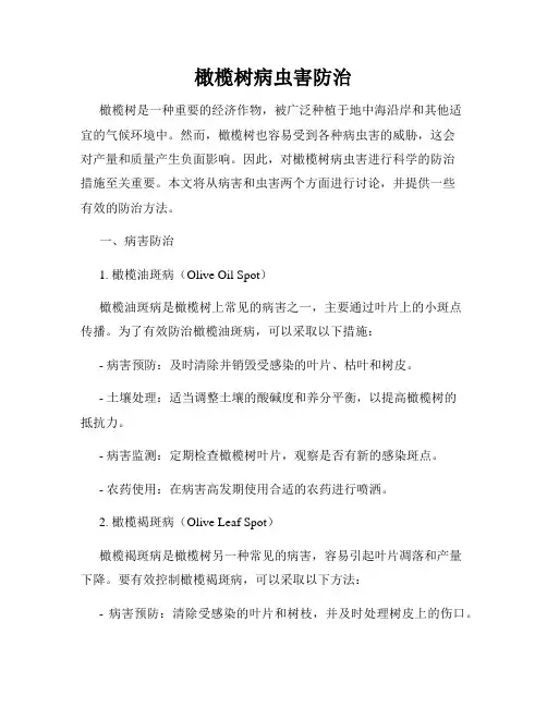 橄榄树病虫害防治
