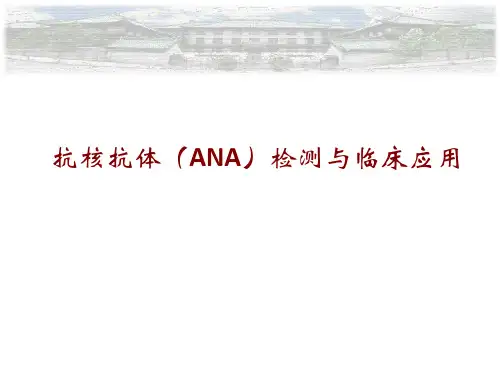 抗核抗体检测与临床应用PPT【42页】