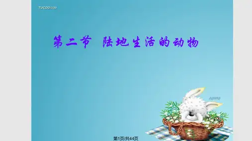 脊椎动物分五纲鱼纲两栖纲爬行纲鸟纲哺乳纲鲨鱼PPT课件