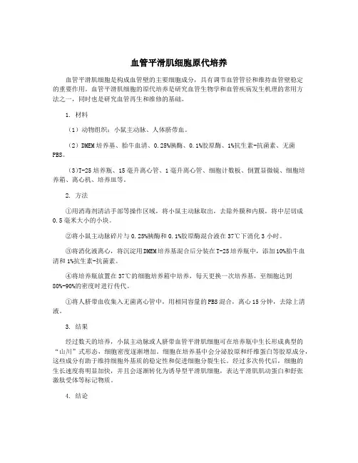 血管平滑肌细胞原代培养
