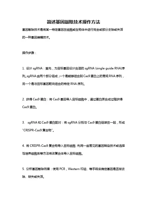 简述基因敲除技术操作方法
