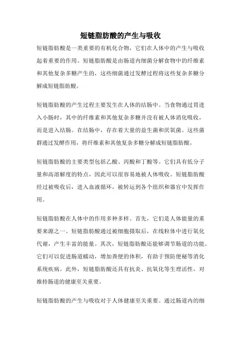 短链脂肪酸的产生与吸收