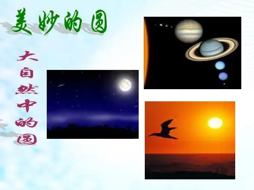 圆的认识PPT下载ppt1