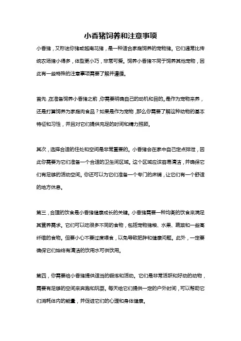 小香猪饲养和注意事项