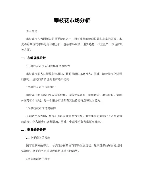 攀枝花市场分析