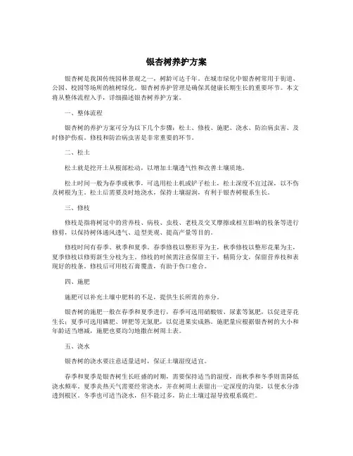银杏树养护方案