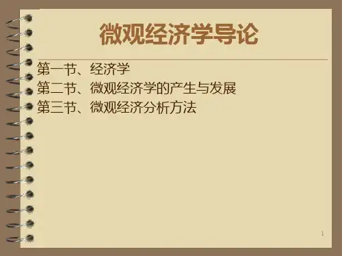 微观经济学概述PPT课件