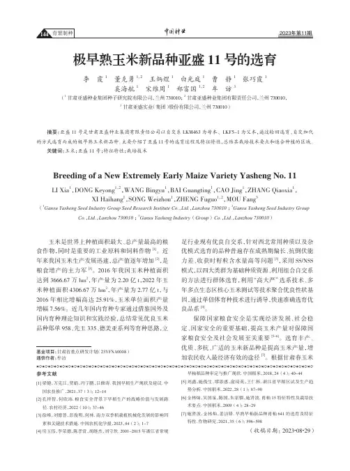 极早熟玉米新品种亚盛11号的选育