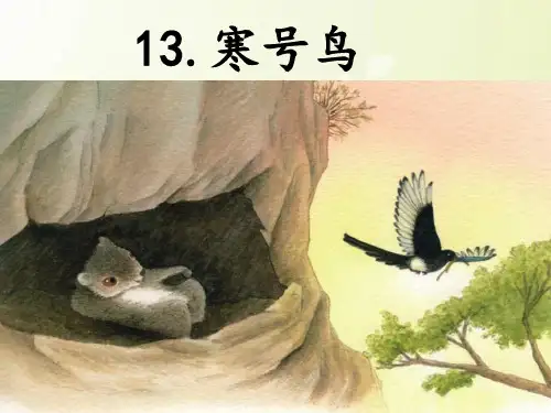  寒号鸟课件(共21张PPT)
