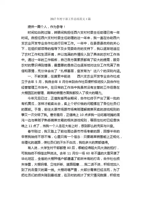 2017年村干部工作总结范文4篇_工作总结范文_