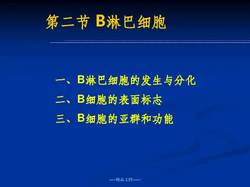 免疫细胞-B细胞