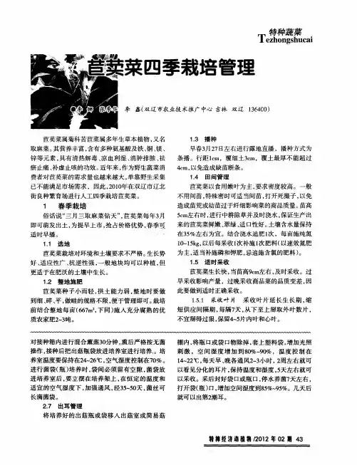 苣卖菜四季栽培管理