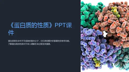 《蛋白质的性质》课件