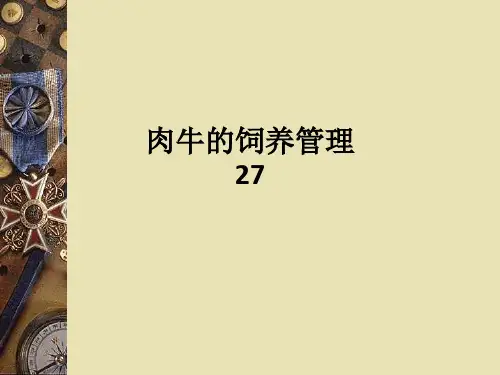 肉牛的饲养管理27ppt课件