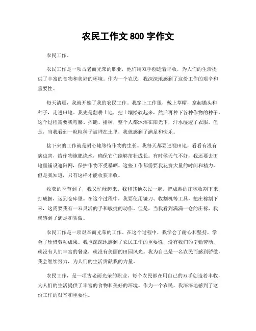 农民工作文800字作文