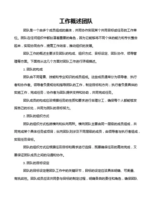 工作概述团队