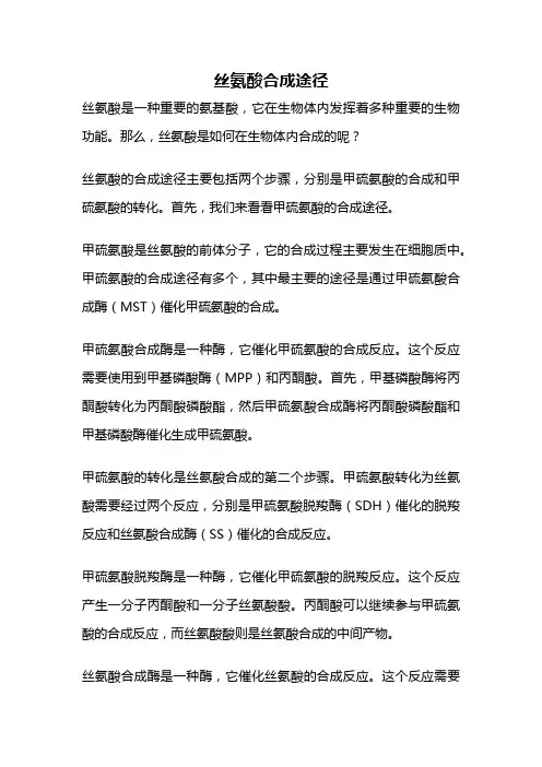 丝氨酸合成途径