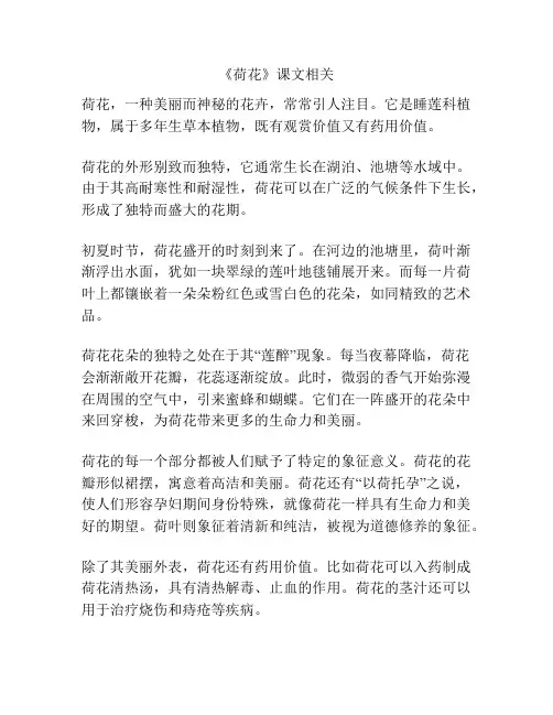 《荷花》课文相关
