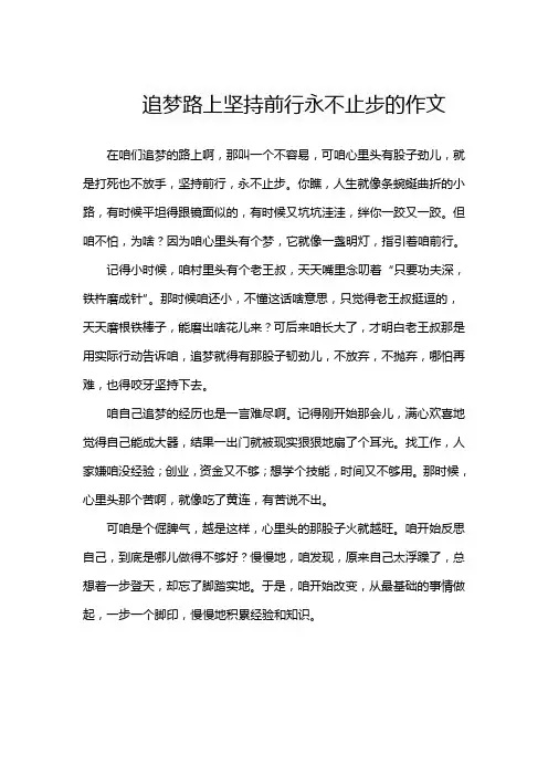 追梦路上坚持前行永不止步的作文